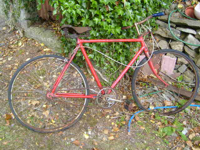 استخدم دراجتك القديمة كديكور لتزيين حديقتك  Attachment